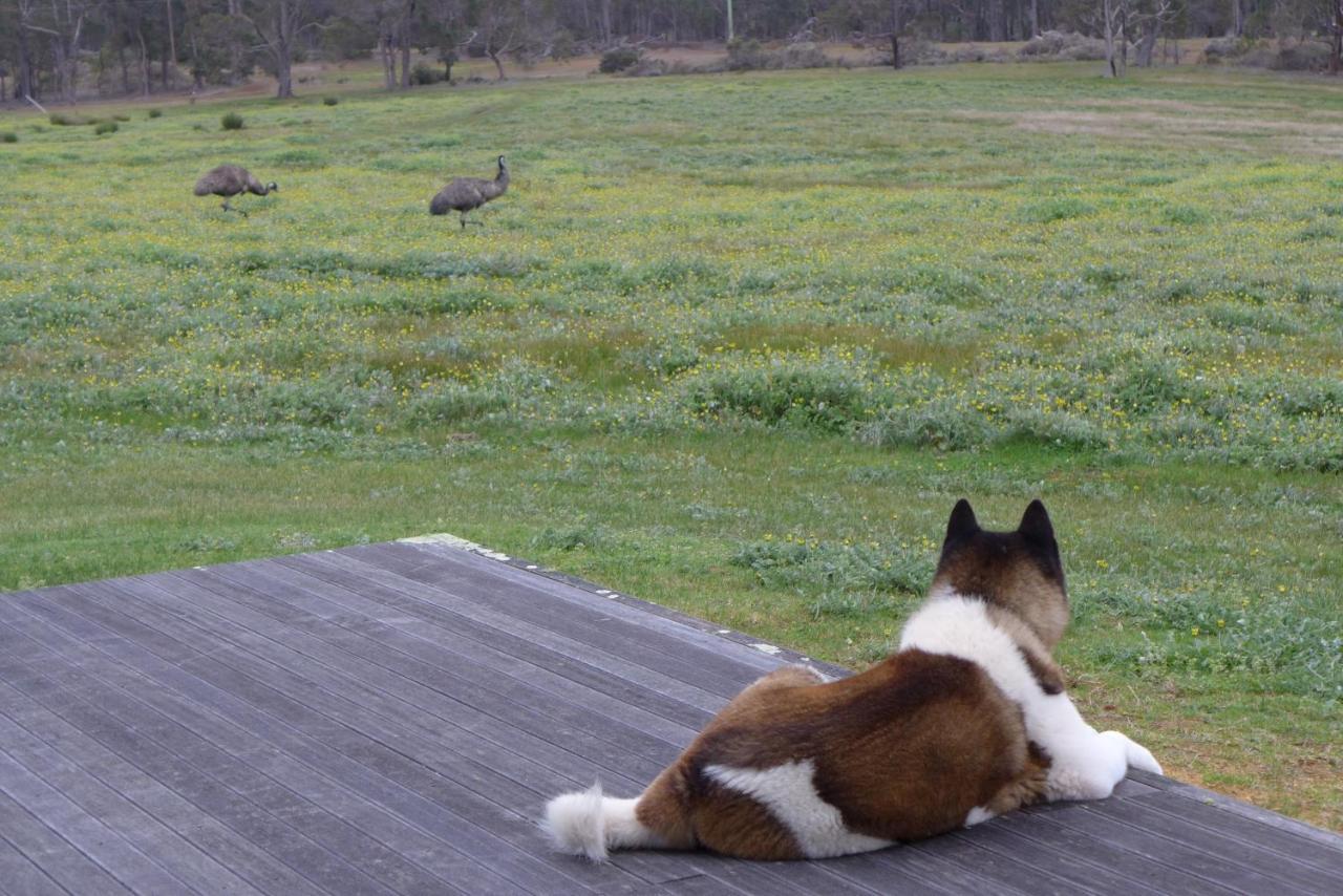 Margaret River Farmhouse Rosa Glen Εξωτερικό φωτογραφία