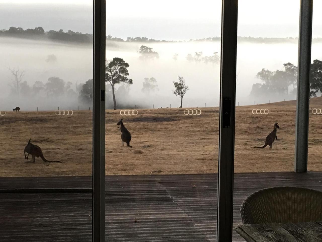 Margaret River Farmhouse Rosa Glen Εξωτερικό φωτογραφία